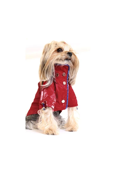 MAXSTYLESPET Astarsız Kapüşonlu Pet Yağmurluk - Kırmızı - Köpek Kedi Kıyafeti ürün görseli