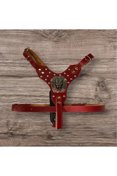 Zirve Tasma %100 Hakiki Deri Gladyatör Köpek Tasması ürün görseli