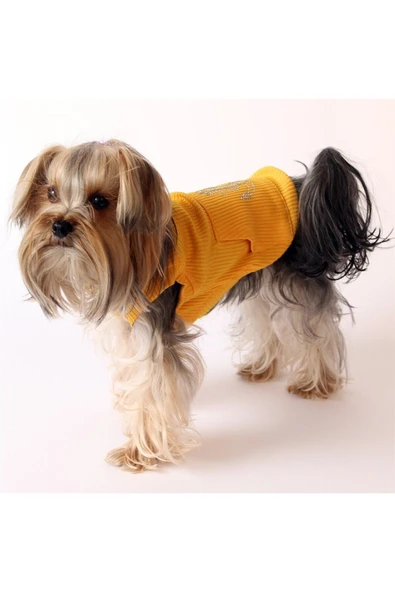 MAXSTYLESPET Kanguru Cep Çapalı Pet Kolsuz Bluz - Sarı Kavun Içi Köpek Ve Kedi Kıyafeti - Resim 3