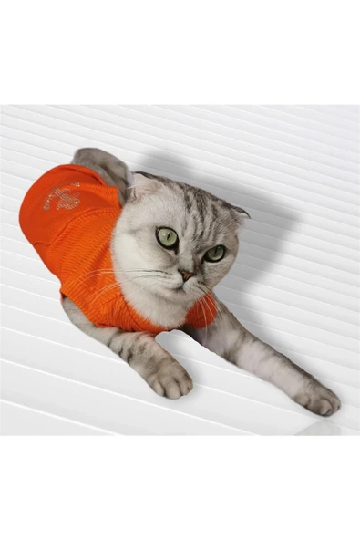 MAXSTYLESPET Kanguru Cep Çapalı Pet Kolsuz Bluz Turuncu Köpek Kedi Kıyafeti ürün görseli
