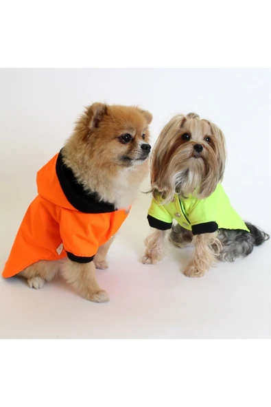 MAXSTYLESPET Membranlı Polarlı Pet Yağmurluk - Yeşil - Köpek Kedi Kıyafeti ürün görseli