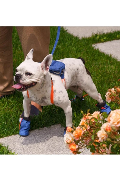 MAXSTYLESPET Pet Sırt Çantası, Mavi - Kedi Köpek Için Tasma Gerektirmeyen Çanta, Gezdirme Kayışı Ile Birlikte