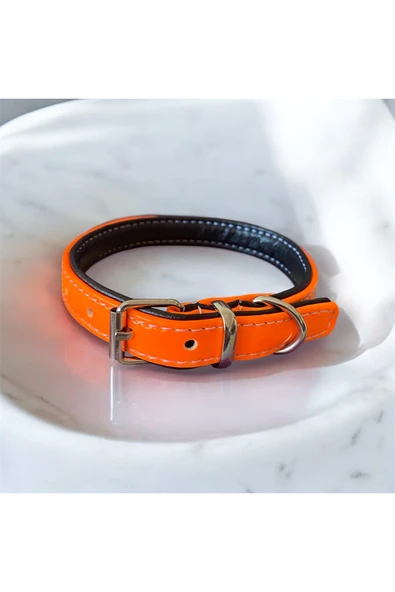 Zirve Tasma 40 cm deri köpek tasması ürün görseli