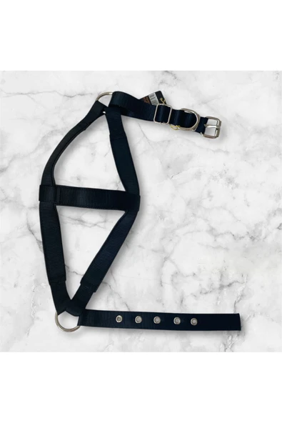 COLLARIUM PET Dayanıklı Ayarlanabilir Göğüs Tasması - Resim 5