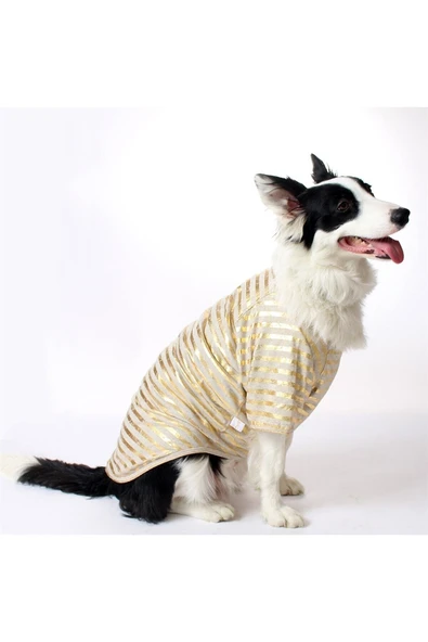 MAXSTYLESPET Varak Çizgili Pet Tshirt - Köpek Ve Kedi Kıyafeti - 1