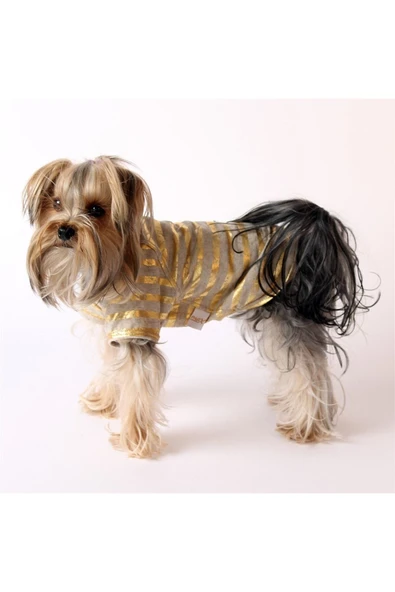 MAXSTYLESPET Varak Çizgili Pet Tshirt - Köpek Ve Kedi Kıyafeti - 2