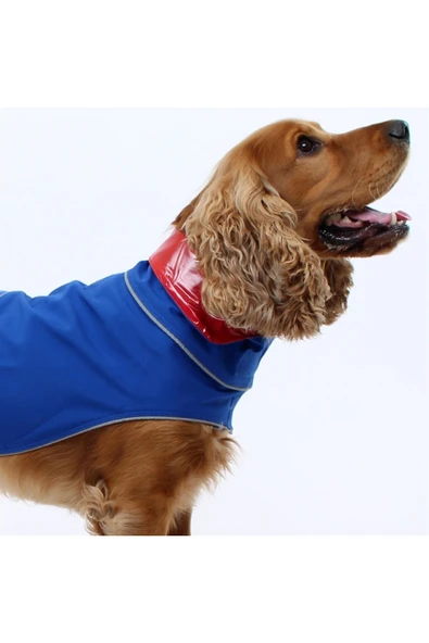 MAXSTYLESPET Soft Shell Bel Bantlı Mavi Pet Yağmurluk Köpek Kedi Kıyafeti - Resim 3