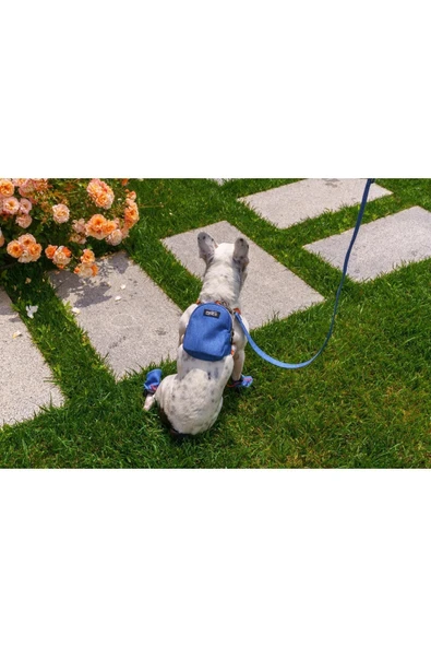 MAXSTYLESPET Pet Sırt Çantası, Mavi - Kedi Köpek Için Tasma Gerektirmeyen Çanta, Gezdirme Kayışı Ile Birlikte - 3
