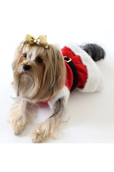 MAXSTYLESPET Noel Anne Pet Elbisesi Kedi Köpek Kıyafeti Kırmızı - Resim 2