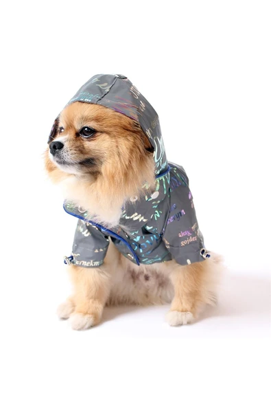MAXSTYLESPET Yazı Desenli Pet Yağmurluk - Gri - Köpek Kedi Kıyafeti - Resim 2