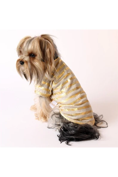 MAXSTYLESPET Varak Çizgili Pet Tshirt - Köpek Ve Kedi Kıyafeti - 3