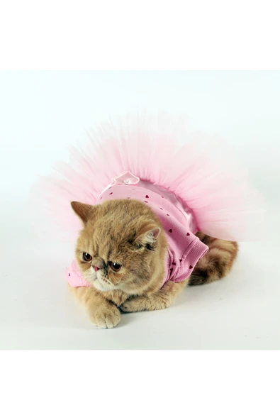 MAXSTYLESPET Kedi Köpek Elbisesi - Kalpli Tütü Elbise - Resim 2