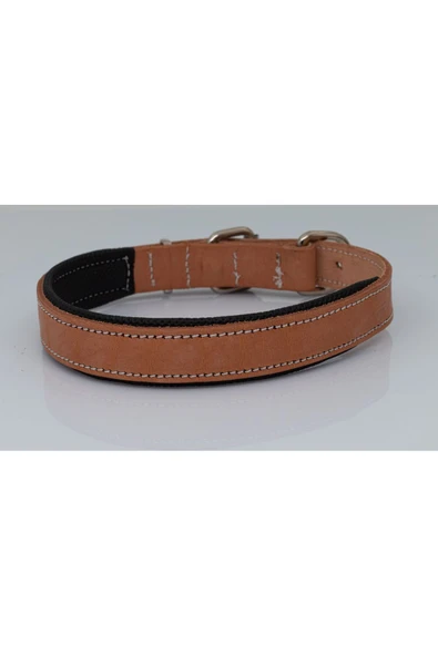 Zirve Tasma Deri Köpek Boyun Tasması - Resim 3