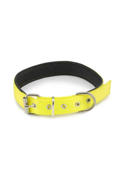 Zirve Tasma 50 cm Köpek Tasması ürün görseli