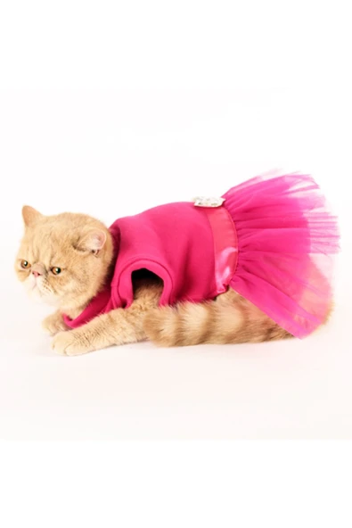 MAXSTYLESPET Kedi Köpek Kıyafeti - Prenses Kalp Tütü Elbise - Resim 2