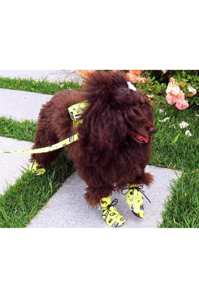 MAXSTYLESPET Pet Sırt Çantası, Sarı - Kedi Köpek Için Tasma Gerektirmeyen Çanta, Gezdirme Kayışı Ile Birlikte - 3