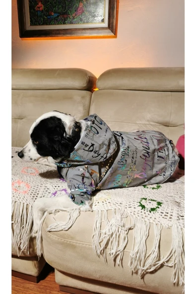 MAXSTYLESPET Yazı Desenli Pet Yağmurluk - Gri - Köpek Kedi Kıyafeti - Resim 4