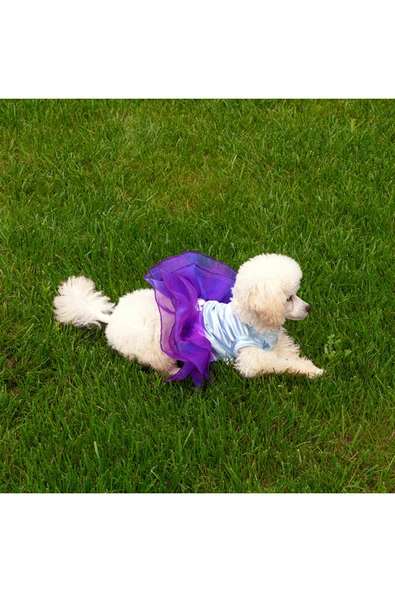 MAXSTYLESPET Kedi Köpek Elbisesi - Rüya Tütü Elbise - Özel Gün Kedi Köpek Abiyesi - Resim 4