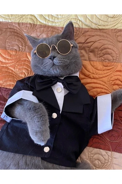MAXSTYLESPET Pet Smokin - Siyah - Köpek Ve Kedi Için Düğün Nikah Nişan Evlilik Kıyafeti Damatlık - Resim 4