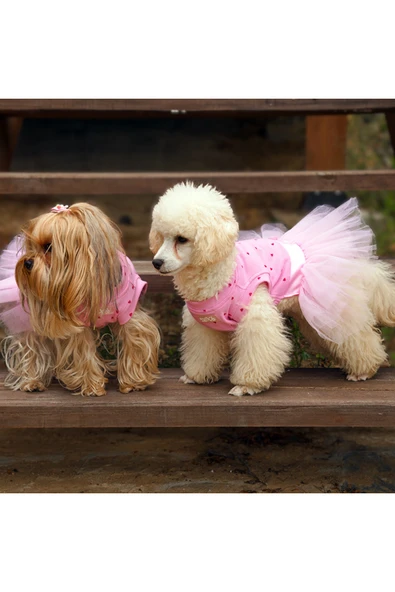 MAXSTYLESPET Kedi Köpek Elbisesi - Kalpli Tütü Elbise ürün görseli