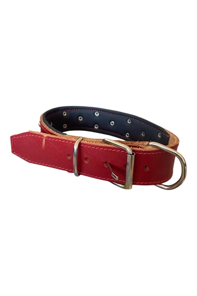 COLLARIUM Deri tasma ürün görseli