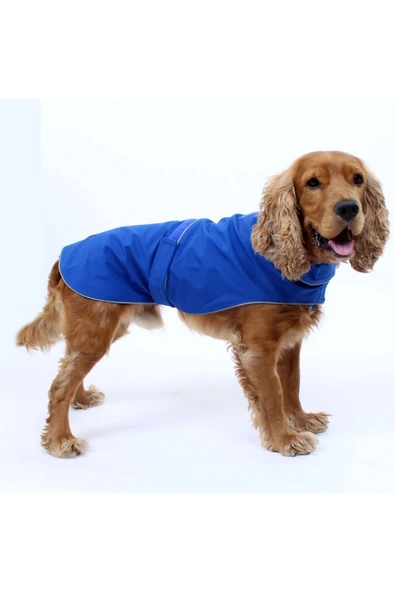 MAXSTYLESPET Soft Shell Bel Bantlı Mavi Pet Yağmurluk Köpek Kedi Kıyafeti ürün görseli