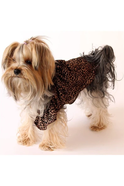 MAXSTYLESPET Tek Omuz Pet Bluz - Leopar Desen Köpek Ve Kedi Kıyafeti - Resim 2