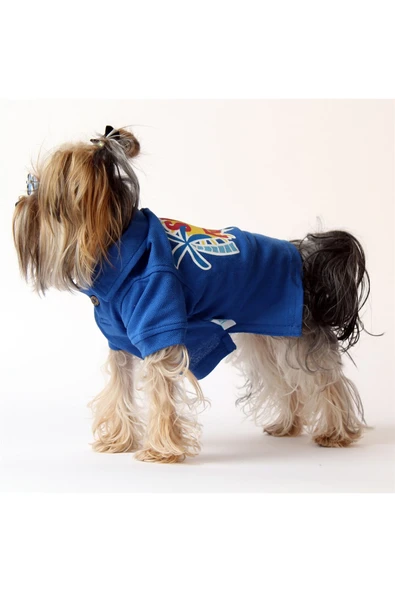 MAXSTYLESPET Lacoste Pet Tshirt (SUN&FUN) Mavi- Köpek Ve Kedi Kıyafeti - Resim 4