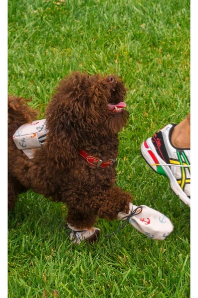 MAXSTYLESPET Pet Sırt Çantası, Krem Kedi Köpek Için Tasma Gerektirmeyen Çanta, Gezdirme Kayışı Ile Birlikte - 2