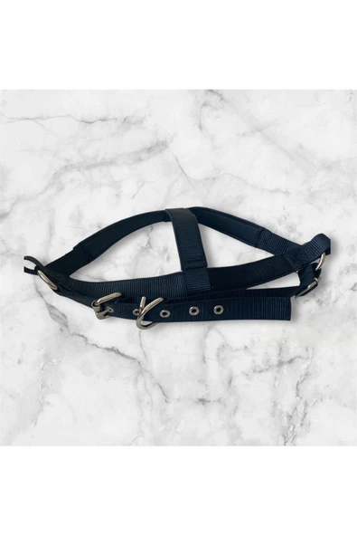 COLLARIUM PET Dayanıklı Ayarlanabilir Göğüs Tasması - Resim 4