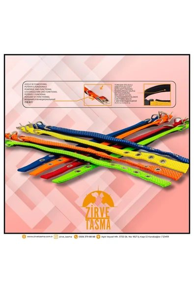 Zirve Tasma Köpek Boyun Tasması - Resim 2