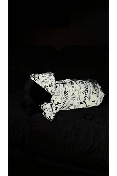 MAXSTYLESPET Yazı Desenli Pet Yağmurluk - Gri - Köpek Kedi Kıyafeti - Resim 5