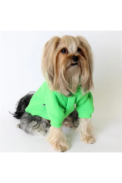 MAXSTYLESPET Love Nakışlı Kapşonlu Pet Sweatshirt Yeşil Köpek Kedi Hoodie - Resim 2