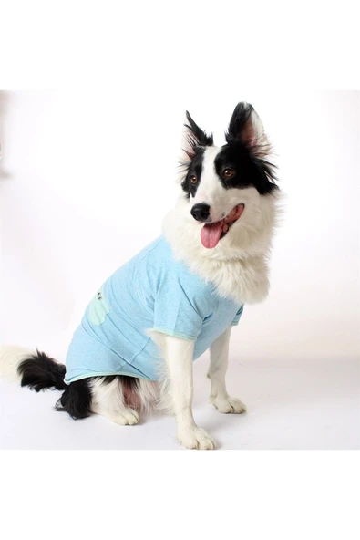 MAXSTYLESPET Simli Yıldızlı Cepli Pet Tshirt - Mavi - Köpek ve Kedi Kıyafeti ürün görseli