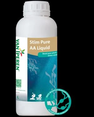 STİM PURE AA LIQİD   1 LT - 1