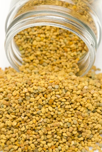 LitaeTrend Polen Deluxe Seri Organik Lezzetli 100 Gr - Resim 3