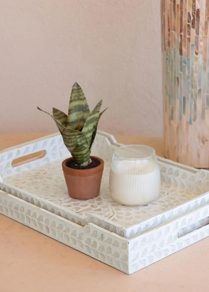 The Mia Sedef Tepsi 50x35x6 cm TLC0126 - Resim 5