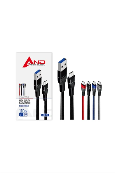 LitaeTrend Mikro Usb Data Kablosu Samsung 2.4A Royaleks-AND-250 - 1