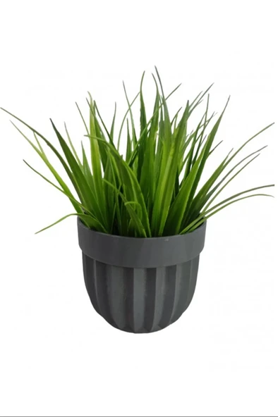 LitaeTrend Çizgili Saksı Sazlı Çiçek Royaleks-5782 ürün görseli 1