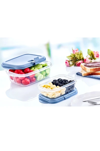 LitaeTrend Bas Aç Push Up Dikdörtgen Saklama Kabı 0,4 Lt 10,5 x 16,7 x 4,8 cm Royaleks-81925 ürün görseli