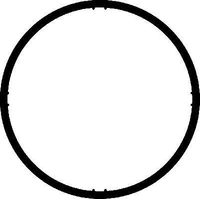 026238H EMME MANİFOLD CONTASI POLO III-CORDOBA-IBIZA-LEON-FABIA-OCTAVIA 1.4 16V  036129717E ürün görseli