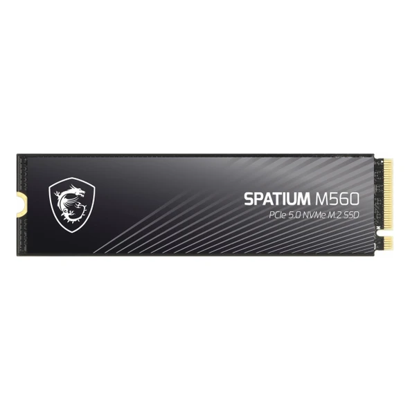 MSI Spatium M560 1TB (10200/8400MB/s) M.2 2280 PCIe 5.0 NVMe SSD ürün görseli 1