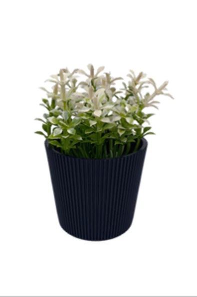 LitaeTrend Çizgili Yuvarlak Saksı Çiçek Royaleks-5706 ürün görseli 1