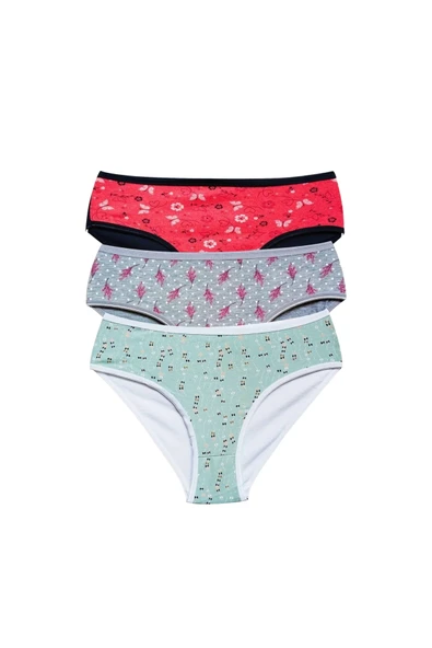 LitaeTrend Pamuklu Geniş Kenarlı Likralı Desenli Bato Kadın Külot 3'lü Paket Set1 ürün görseli 1