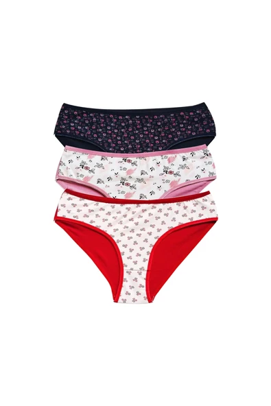 LitaeTrend Pamuklu Geniş Kenarlı Likralı Desenli Bato Kadın Külot 3'lü Paket Set2 ürün görseli 1