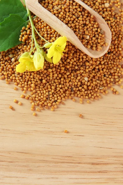 LitaeTrend Sarı Hardal Tohumu Deluxe Seri Organik Lezzetli 300 Gr - Resim 3