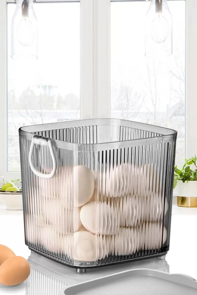 LitaeTrend 4Lt Akrilik Erzak Saklama&Organizer Royaleks-EMN3099 ürün görseli