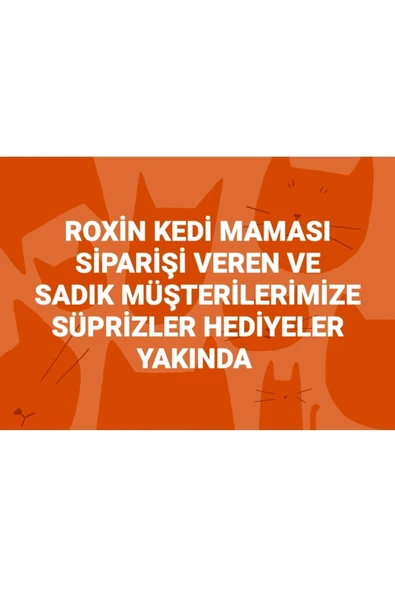 Roxin Premium Klasik Somonlu Yavru Kedi Maması 5 Lt - 3