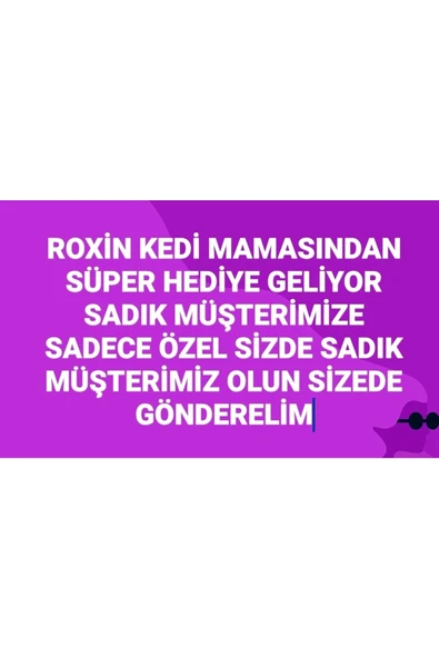 Roxin Premium Klasik Somonlu Yavru Kedi Maması 5 Lt - 5