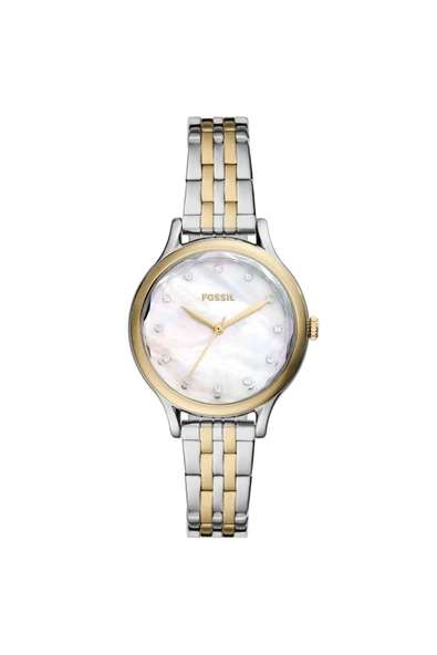 Fossil Gri Gold Kadın Kol Saati FBQ3864 - 1